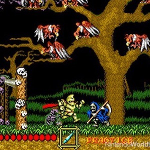 Ghouls 'n Ghosts Sega Genesis ROM