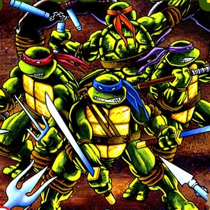 Teenage Mutant Ninja Turtles - Fall of the Foot Clan Gameboy ROM