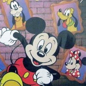 Mickey Mouse: Magic Wand Gameboy ROM