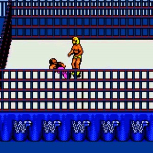 WWF Wrestlemania: Steel Cage Challenge Nintendo ROM