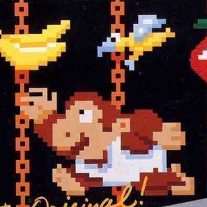 Donkey Kong Jr. Nintendo ROM