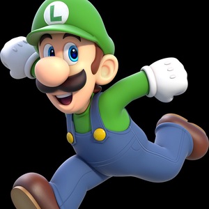 Special Luigi Edition Nintendo ROM