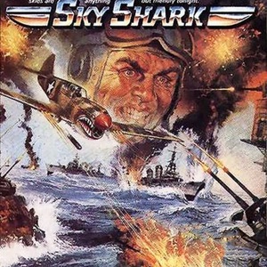 Sky Shark Nintendo ROM