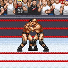 WWF - Road to Wrestlemania Gameboy Advance ROM