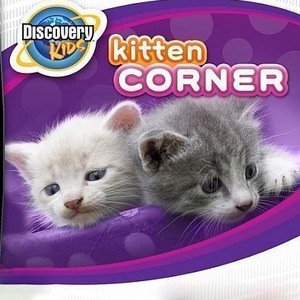 Discovery Kids: Kitten Corner Nintendo DS ROM