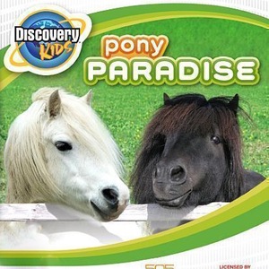 Discovery Kids: Pony Paradise Nintendo DS ROM