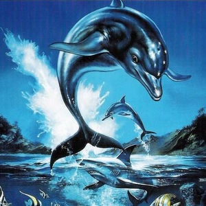 Ecco The Dolphin Sega Master System ROM