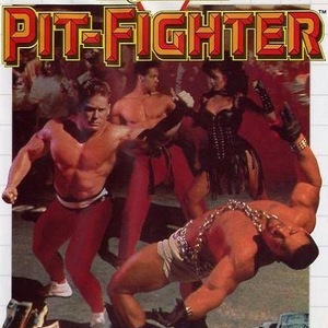 Pit Fighter Sega Master System ROM