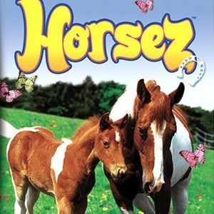 Horsez Gameboy Advance ROM