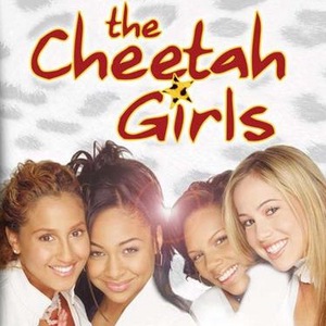 Cheetah Girls Gameboy Advance ROM