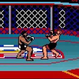 Ultimate Fighting Championship Gameboy Color ROM