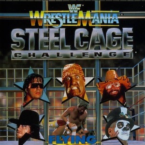 WWF Wrestlemania: Steel Cage Challenge Sega Master System ROM