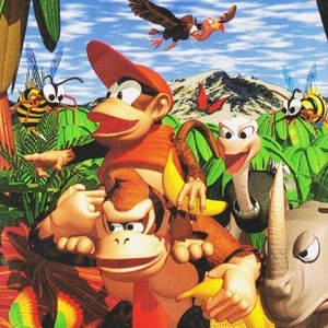 Super Donkey Kong Super Nintendo ROM