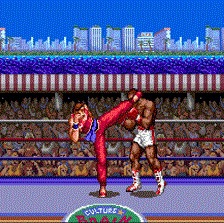 Ultimate Fighter Super Nintendo ROM