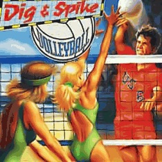 Dig & Spike Volleyball Super Nintendo ROM