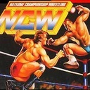 Natsume Championship Wrestling Super Nintendo ROM