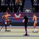 WWF WrestleMania 95 Sega Genesis ROM