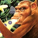 Toki - Going Ape Spit Sega Genesis ROM