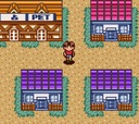 Animal Breeder 3 Gameboy Color ROM