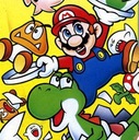 Mario & Yoshi Gameboy ROM