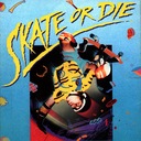 Skate or Die! Nintendo ROM