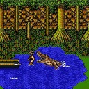 The Adventures of Bayou Billy Nintendo ROM