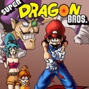 Super Dragon Bros Nintendo ROM