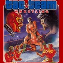 Tag Team Wrestling Nintendo ROM