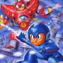 Protoman 5 Nintendo ROM