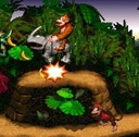 Donkey Kong Country Gameboy Advance ROM