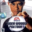 Tiger Woods PGA Tour Nintendo DS ROM