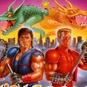 Double Dragon Sega Master System ROM