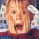 Home Alone Sega Game Gear ROM