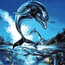 Ecco the Dolphin Sega Game Gear ROM