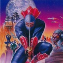 Shinobi II: The Silent Fury Sega Game Gear ROM