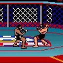 Ultimate Fighting Championship Gameboy Color ROM