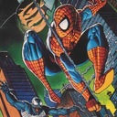 Spider-Man Vs. The Kingpin Sega Master System ROM