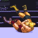 Hammerlock Wrestling Super Nintendo ROM