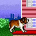 Beethoven's 2nd - The Ultimate Canine Caper! Super Nintendo ROM