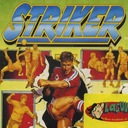 Striker Super Nintendo ROM